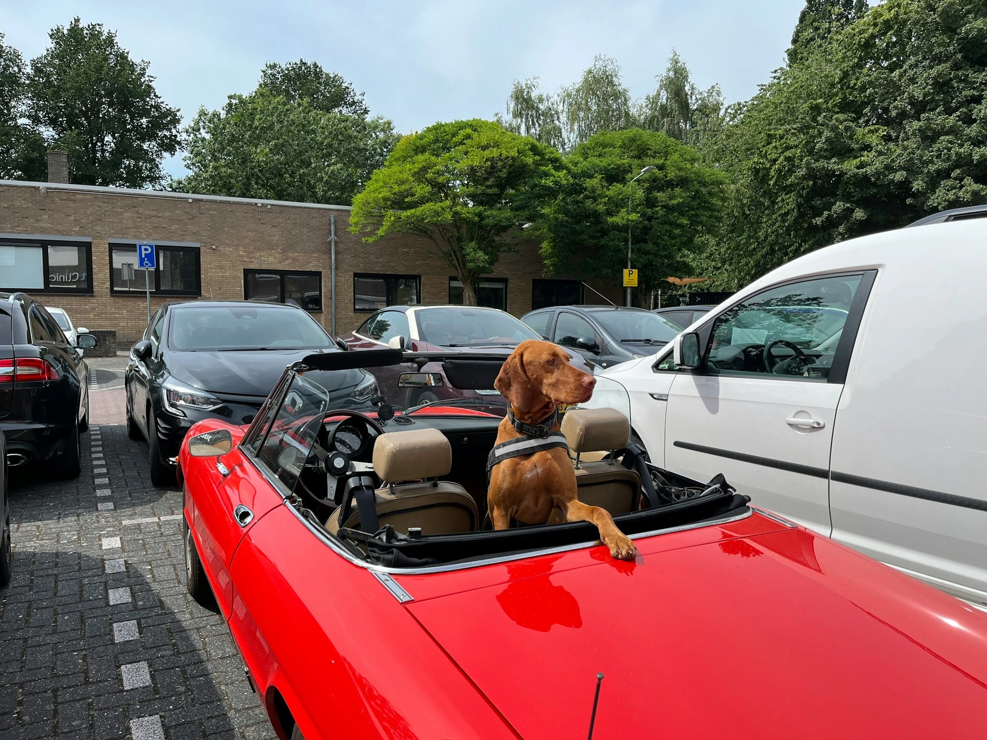 A dog sitting in the passenger seat of a red vintage convertible car parked in a lot.