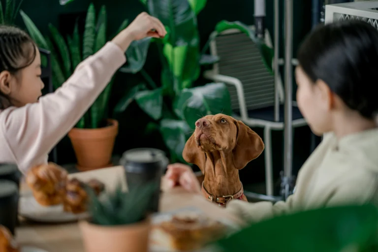 A brown dog sitting at a table between two people.